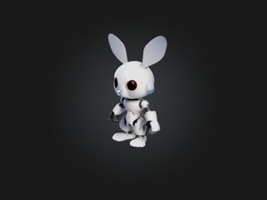 RoboRabbit Model