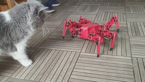 Hex Robo V1 (without cann...