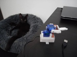 Automatic Laser Cat Toy