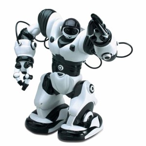 REMOTE BATTERY COVER FOR ROBOSAPIEN V1