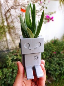 BLOCKY_BOY