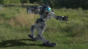 SURICATA - 25 TON LIGHT MECH