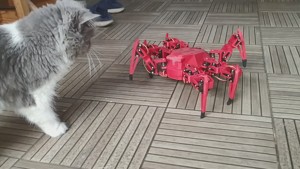 HEX ROBO V1