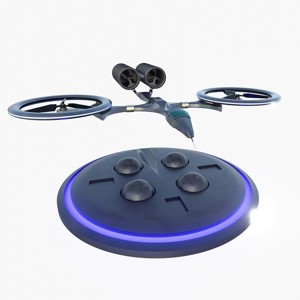 D1 Mosquito Drone