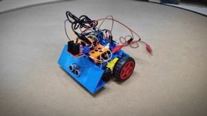 SUMO ROBOT CHASSIS