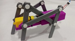 Robot Grillo