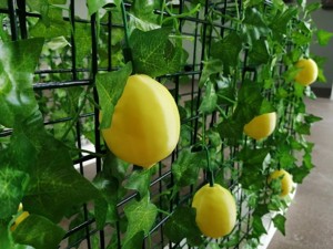 Magnetic Lemon