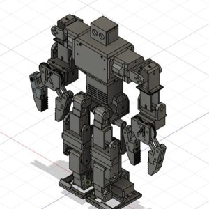 HUMANOID BIPED ROBOT