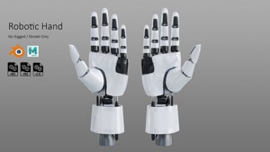 Robotic Hand