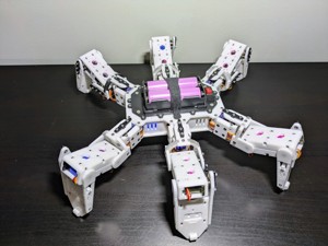 The Hexapod