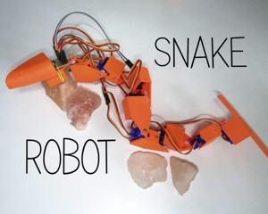 SNAKE ROBOT