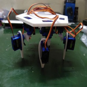Spider bot