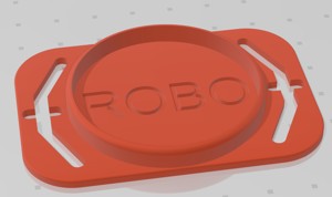 ROBO 2021