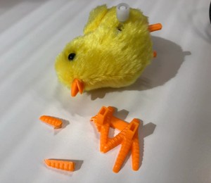 Robo Chick