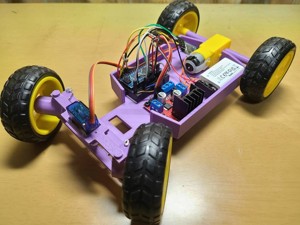 Simple Arduino RC CAR