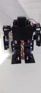 LOW COST ROBOT SG90