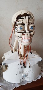 Inmoov Buste