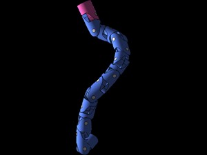 Snake Robot