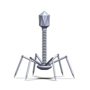 Bacteriophage Project