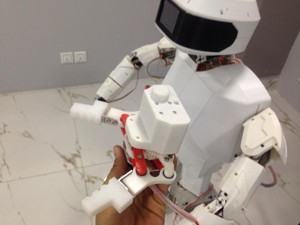 Arm Robot Gripper RDS3115...