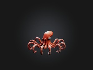 RoboOctopus Model