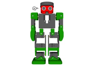 HUMANOID ROBOT – ROBONOID – HEAD (HUDI)