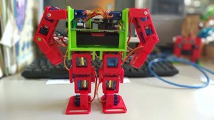 12 dof biped robot
