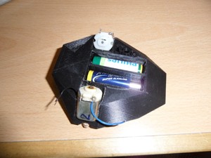 BEETLE ROBOT PROJECT