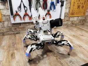 Tishka - a robot for the series