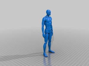 Robot Humanoid