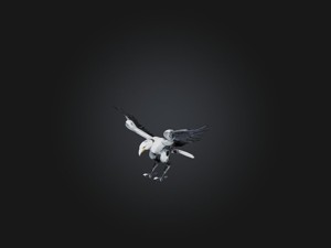 RoboEagle Model
