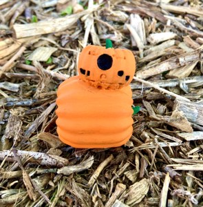 PUMPKIN BB8