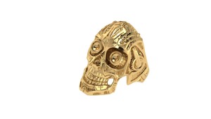 Robot Skull