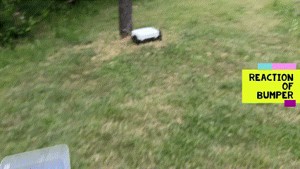 SIMPLE ROBOTIC LAWNMOWER PRICE 62USD