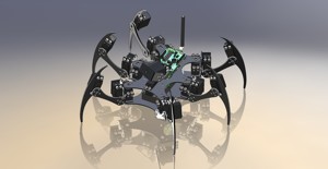 Hexapod Robot