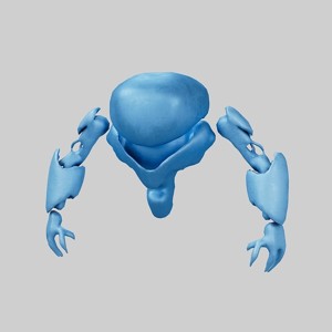 Cartoon Bot Character v1 003