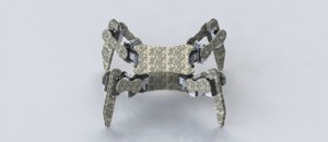 Quadruped robot