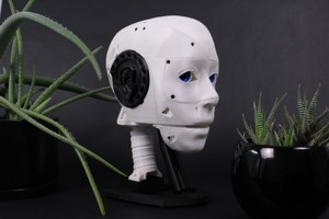 EZ-inMoov Robot Head