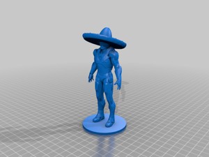 Echo the Robot