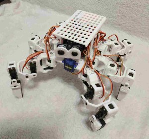 Hexapod robot, moving along a random route