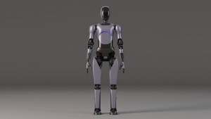 Humanoid robot
