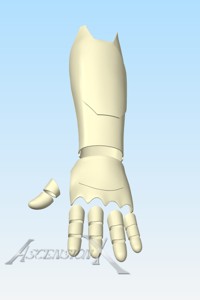 CYBERNETIC ARMS (ADVANCED PRINT)