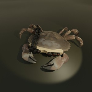 Cyber Crab
