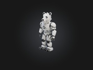 RoboBear Model
