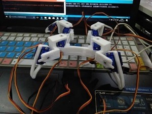 quardruped robot