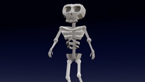 Cartoon Skeleton Animated Rigged 