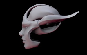 Face Shell