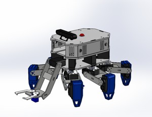 KRSRI-SAR/Hexapod