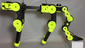 Robot Quadruped Tail