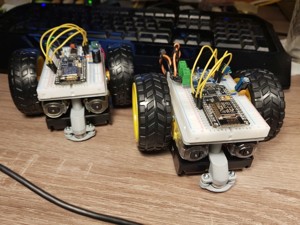 WiRe AfRo (Wireless Remote-controlled Affordable Robot) chassis